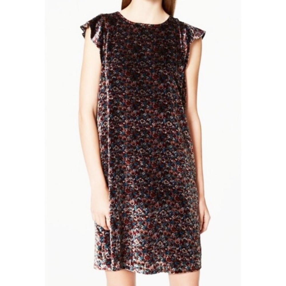 Loft Flutter Sleeve Floral Velvet Dress
